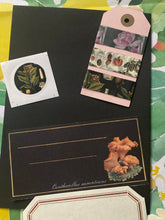 Load image into Gallery viewer, Black botanicals snail mail kit
