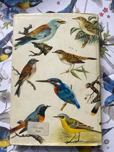 Load image into Gallery viewer, Vintage birds Swedish book
