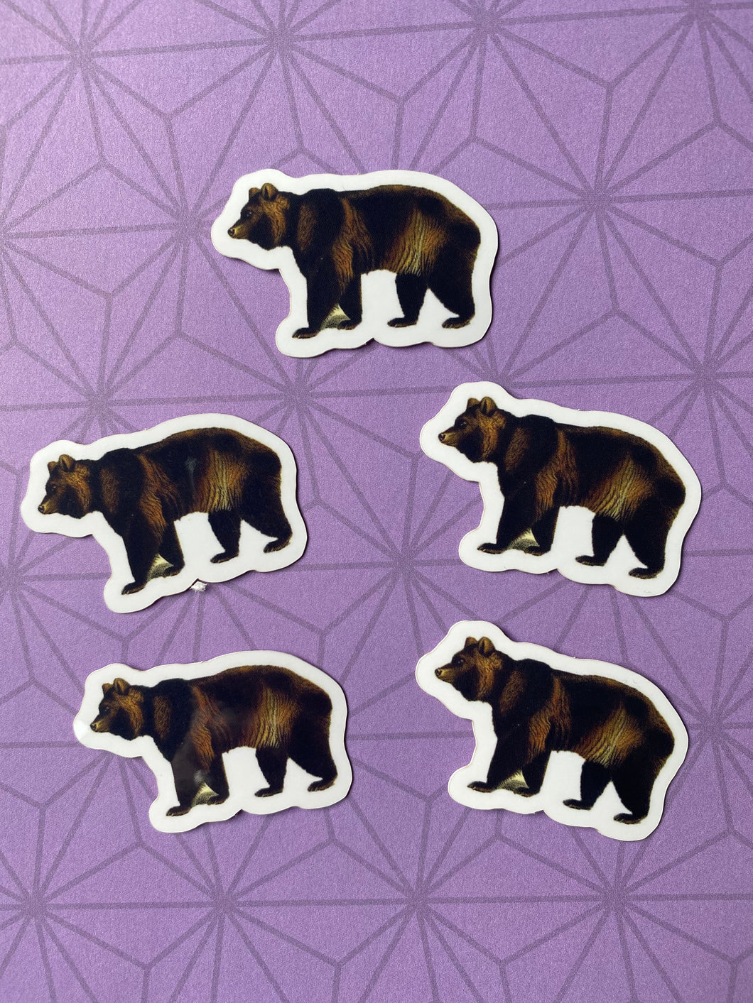 Bear vinyl stickers