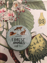 Load image into Gallery viewer, Forest Animals Vol 2
