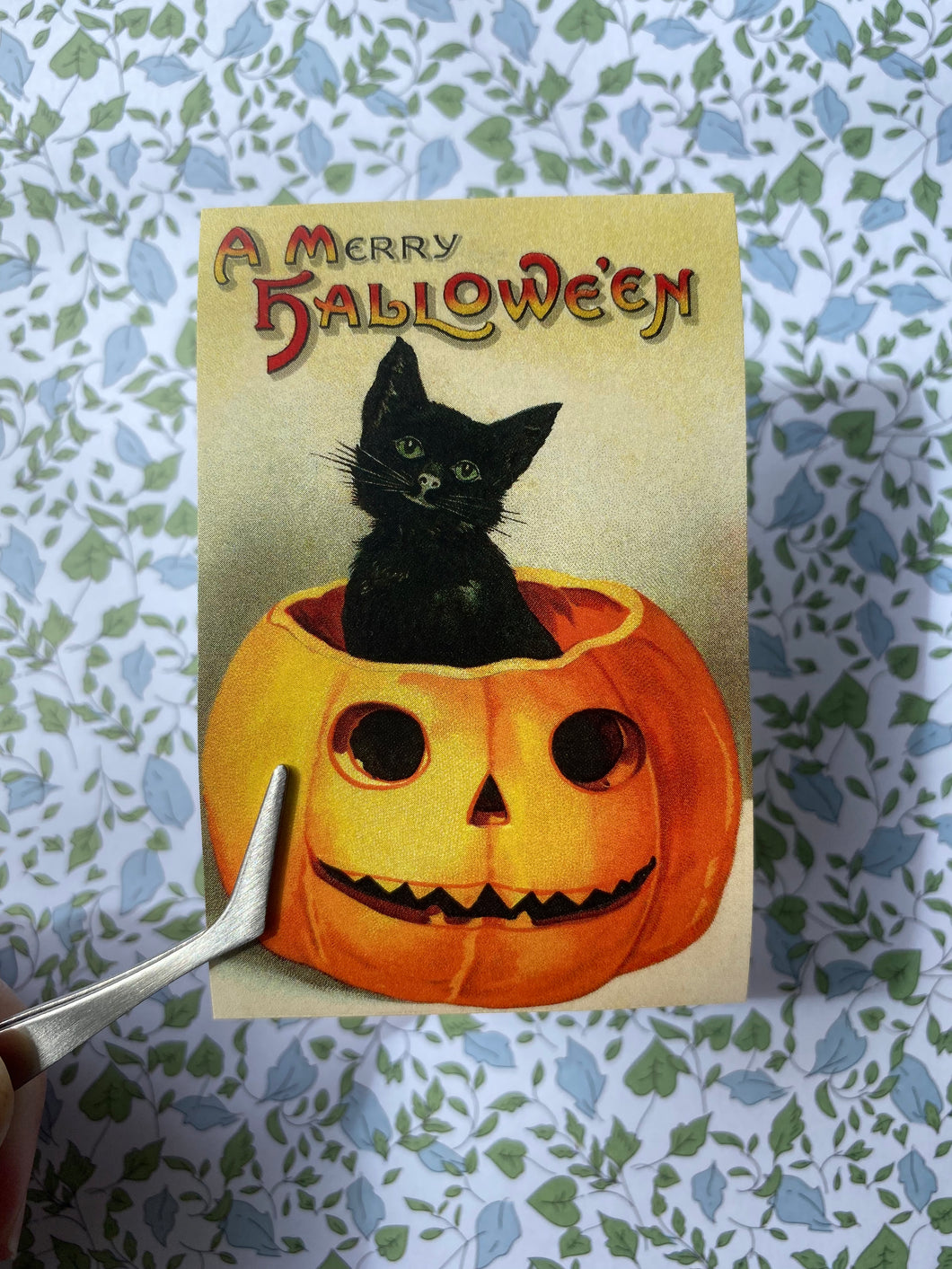 Black cat Halloween stickers