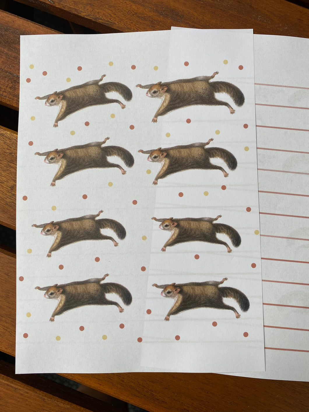 Flying squirrel  letter sheets