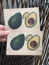 Load image into Gallery viewer, Vintage avocado postcard
