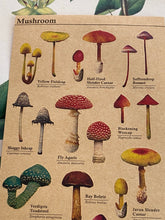 Load image into Gallery viewer, Mushroom sticker sheet
