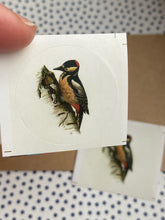 Load image into Gallery viewer, Woodpecker round stickers
