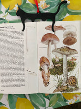 Load image into Gallery viewer, Mushrooms in the Nature vintage book
