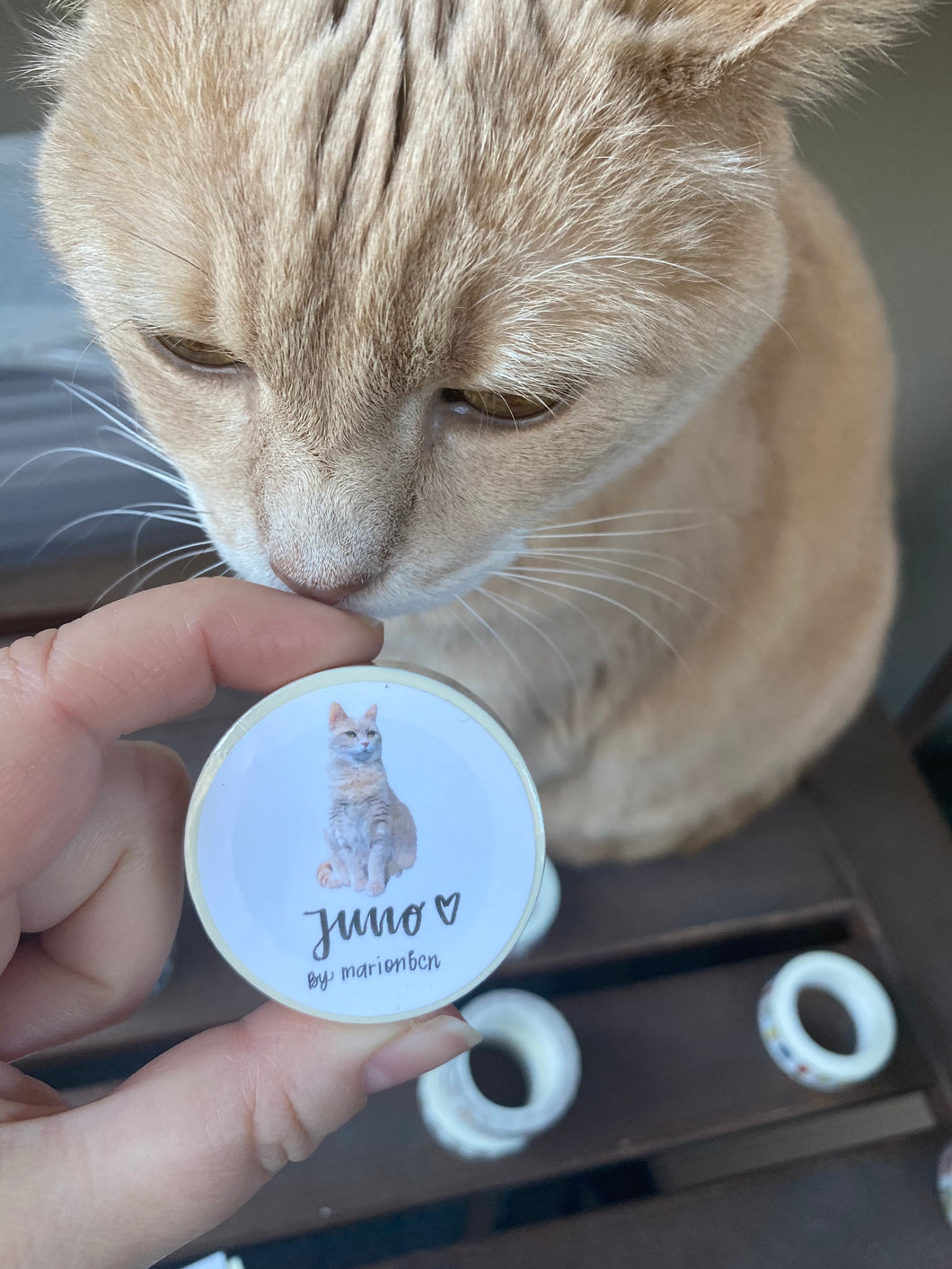 Juno washi tape