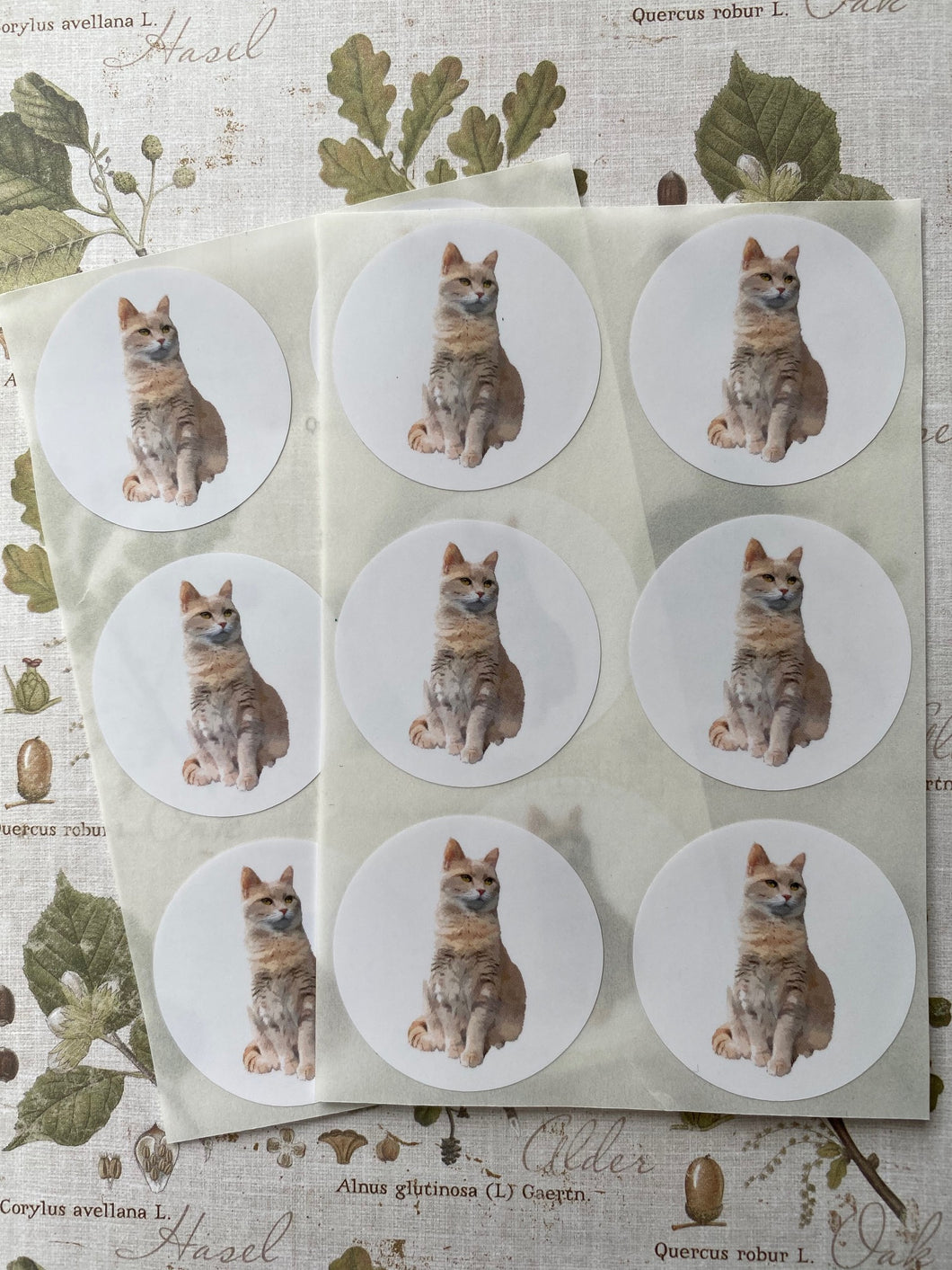 Juno round stickers