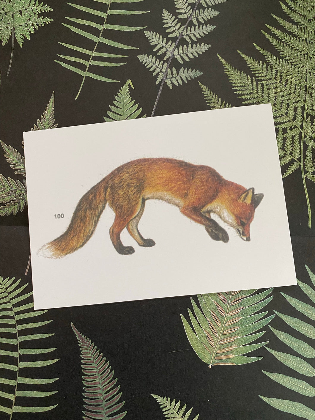 Fox postcard