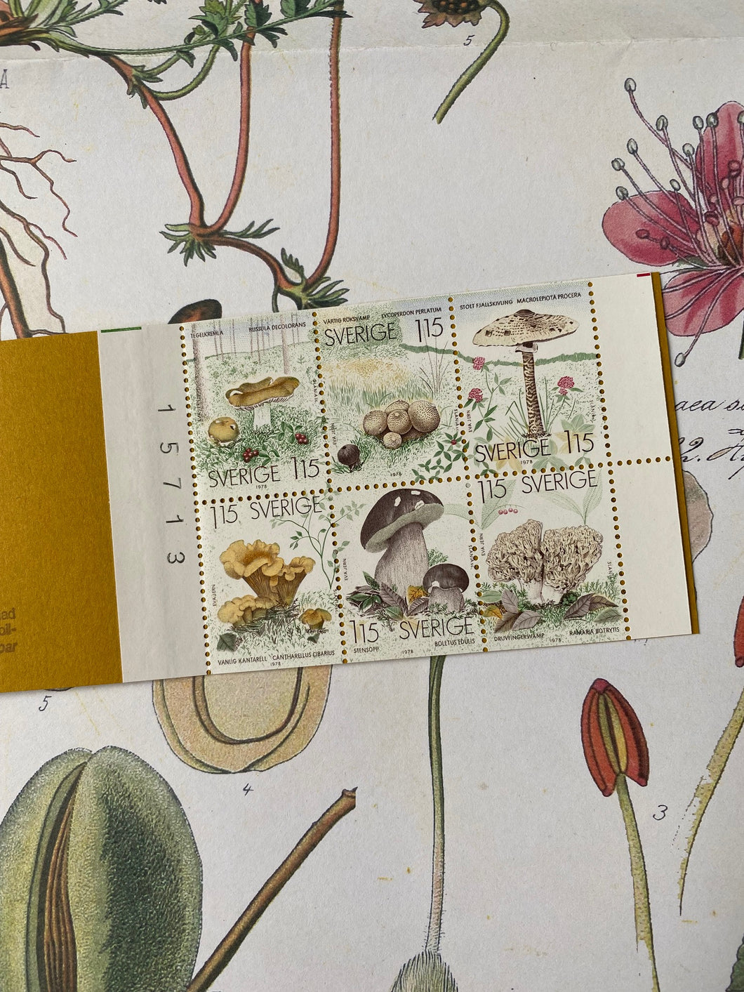Vintage mushroom Swedish postal stamps