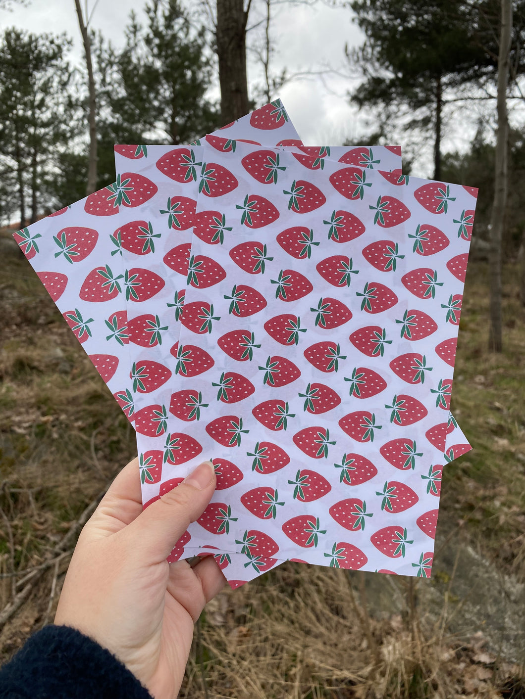 Strawberries Letter Sheets