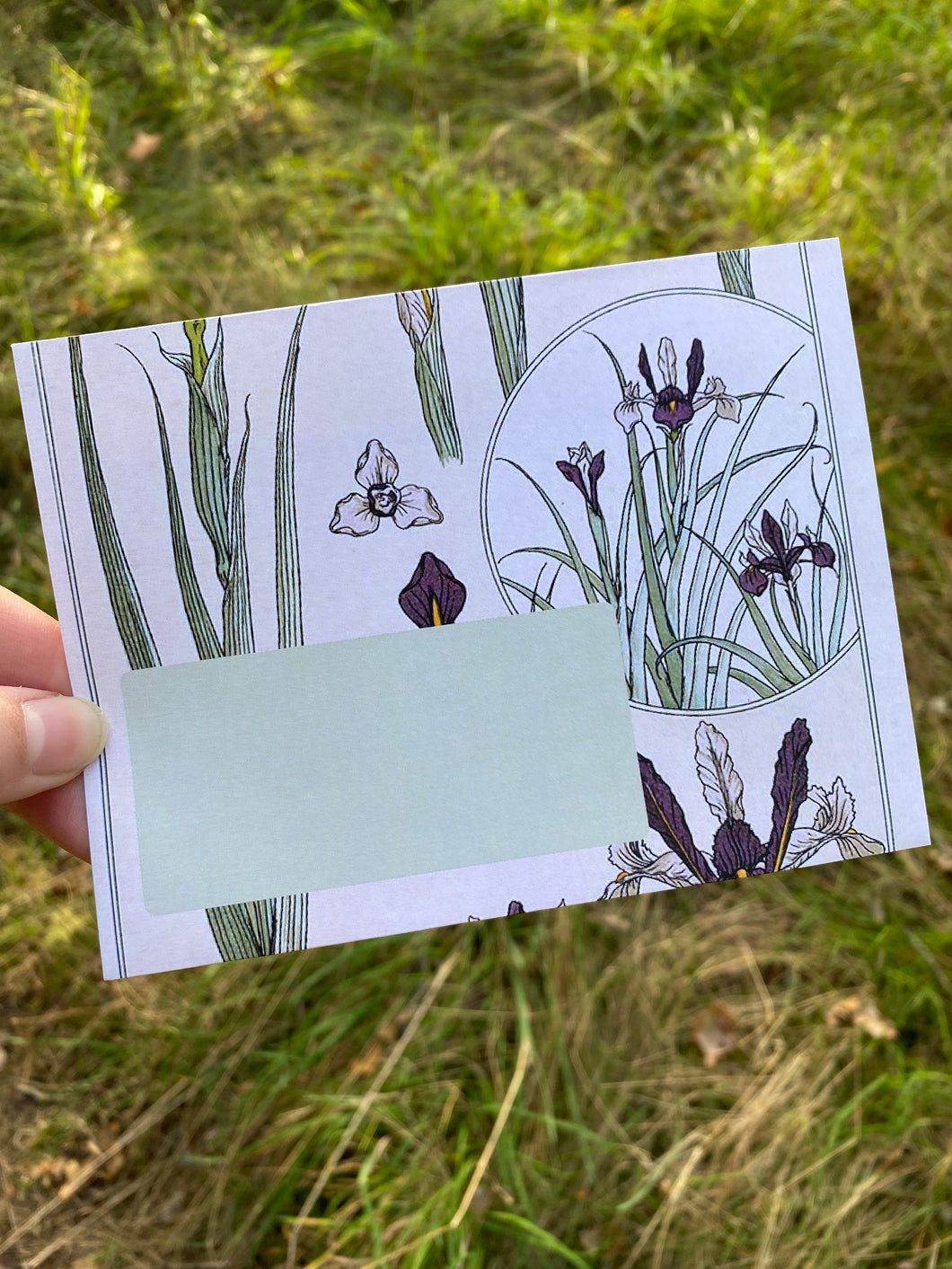 Iris envelopes