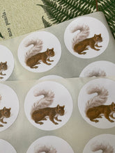 Load image into Gallery viewer, Squirrel round stickers
