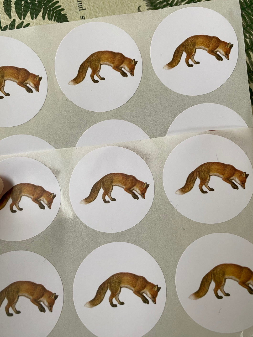 Fox round stickers