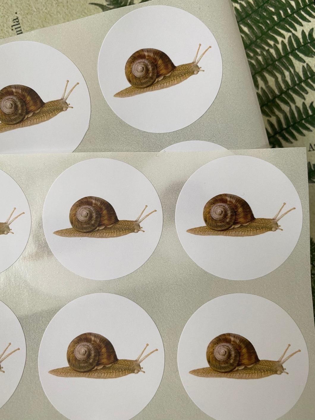 Snail round stickers