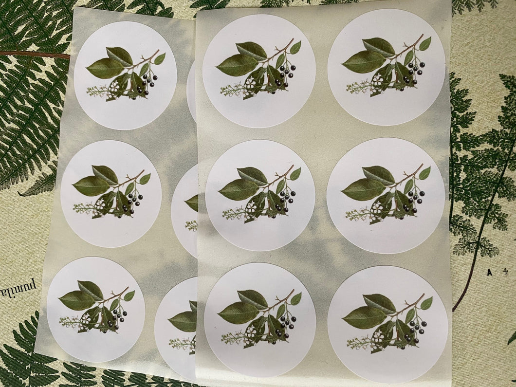 Botanicals round stickers